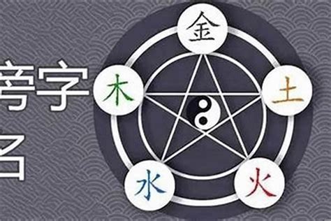 紹五行|绍字五行属什么